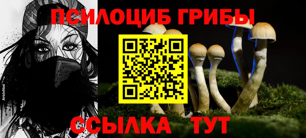 Псилоцибиновые грибы ЛСД Вышний Волочёк